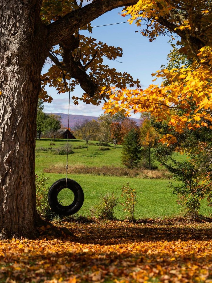 earthviewss1's tweet photo. Sugar Hill, New Hampshire 🇺🇸🍂 https://t.co/pCGkfHWpnV