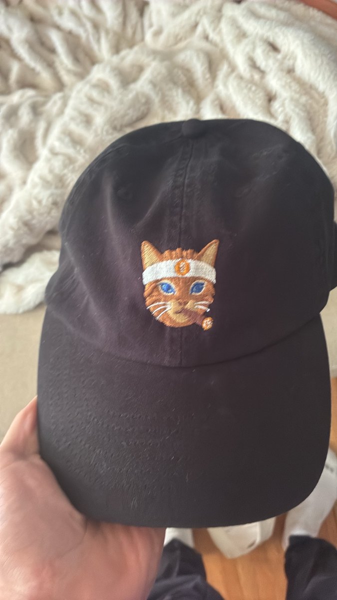 squishertonn's tweet photo. GM

Got some new cat swag 

Buy The Cat https://t.co/stXl9x3DV3