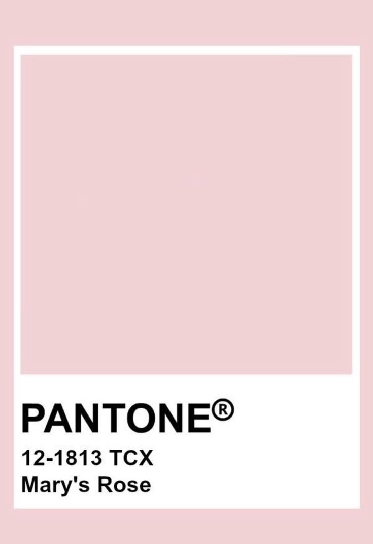 sprinkleswn's tweet photo. how  pinterest  sees  me

♡  fashion 
♡  pantone
♡  mood 
♡  food https://t.co/YdU5fJ7IKX