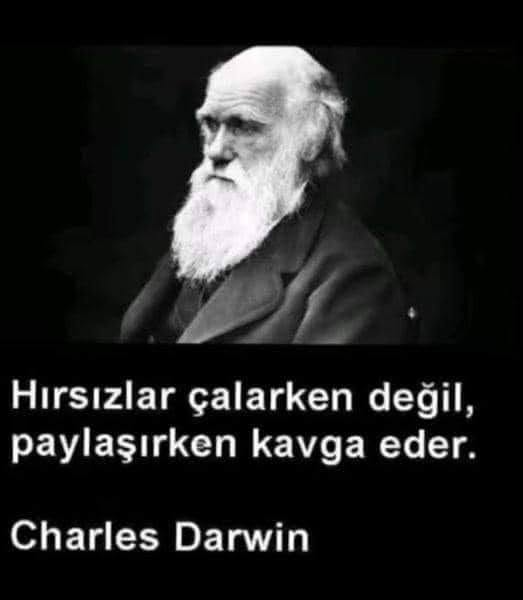 beratbilecik11's tweet photo. https://t.co/y6woRxhSzQ