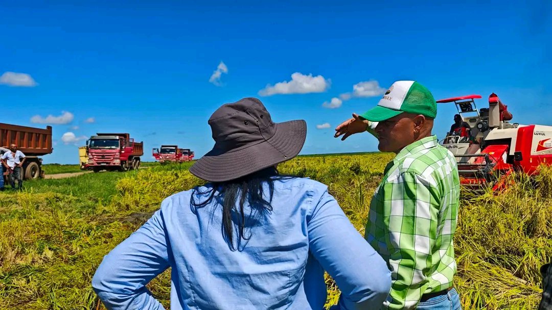 BarceloOrt92635's tweet photo. #ProvinciaGranma es tierra productora de arroz,con suelo fértil para el cultivo.Son muchos los retos y desafíos para responder a la demanda.
Con el proyecto #Cuba Vietnam se abren nuevas oportunidades.
Recorrimos e intercambiamos sobre  inversiones,la cosecha y las perspectivas. https://t.co/BvEp9XlBo9