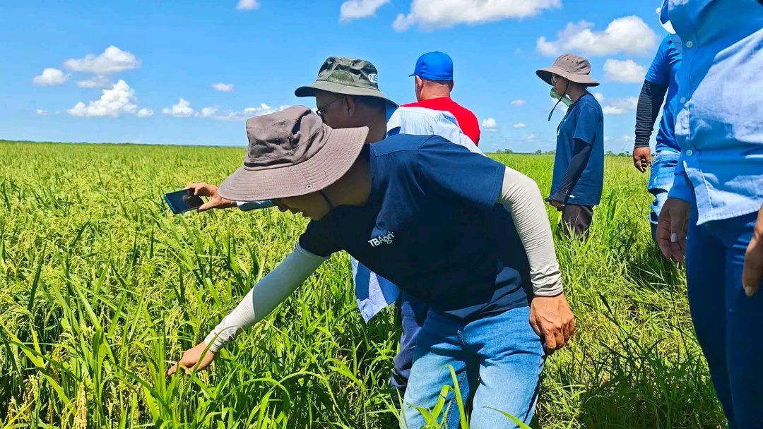 BarceloOrt92635's tweet photo. #ProvinciaGranma es tierra productora de arroz,con suelo fértil para el cultivo.Son muchos los retos y desafíos para responder a la demanda.
Con el proyecto #Cuba Vietnam se abren nuevas oportunidades.
Recorrimos e intercambiamos sobre  inversiones,la cosecha y las perspectivas. https://t.co/BvEp9XlBo9
