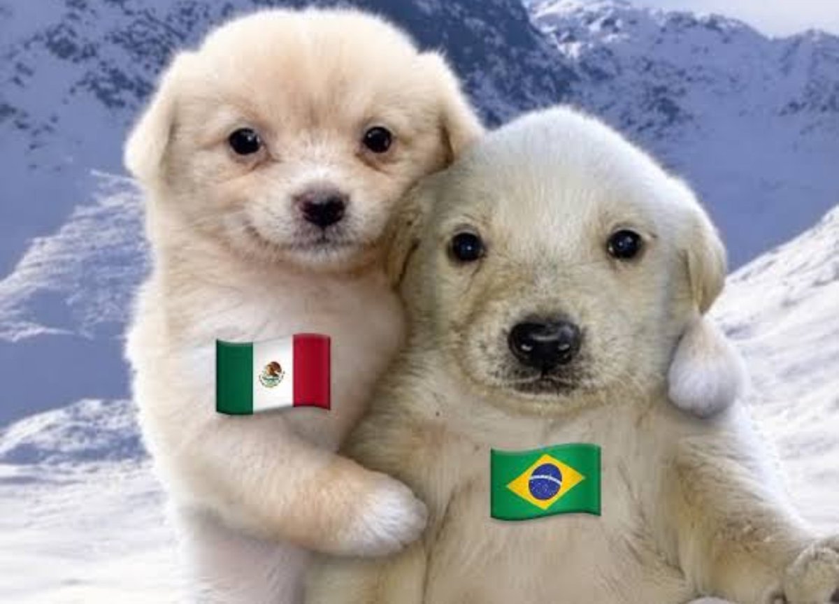Lesbianlvsyoong's tweet photo. vamos brasil!! lula tiene que ganar, no nos pueden abandonar como los únicos países de izquierda en latam https://t.co/baEpVIfXZG