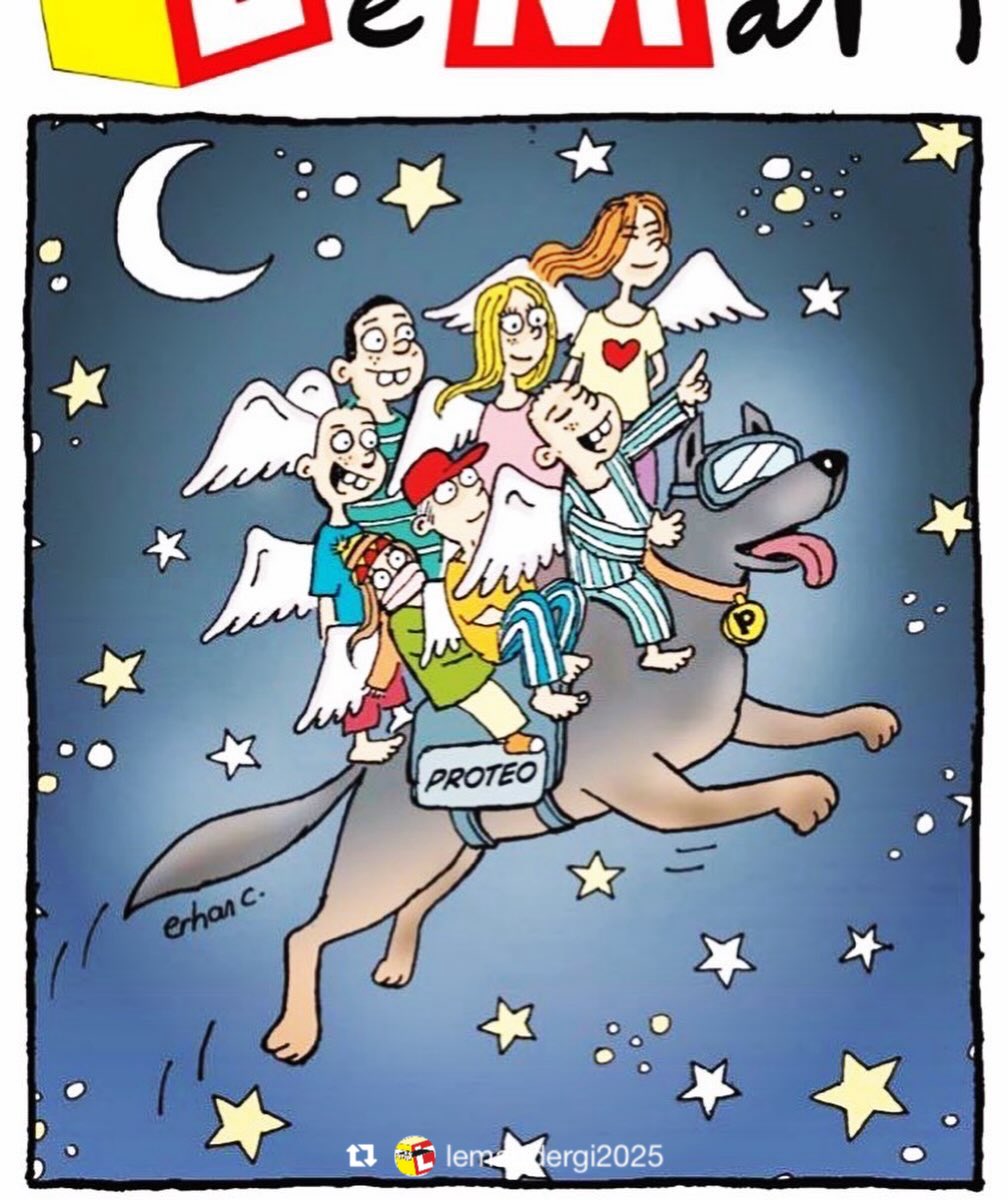 lemandergisi's tweet photo. #4EkimDünyaHayvanlarıKorumaGünü ♥️🐕‍🦺

Ni Proteo ni su equipo, nunca serán olvidados 🙏 https://t.co/1pCveOj1Ue