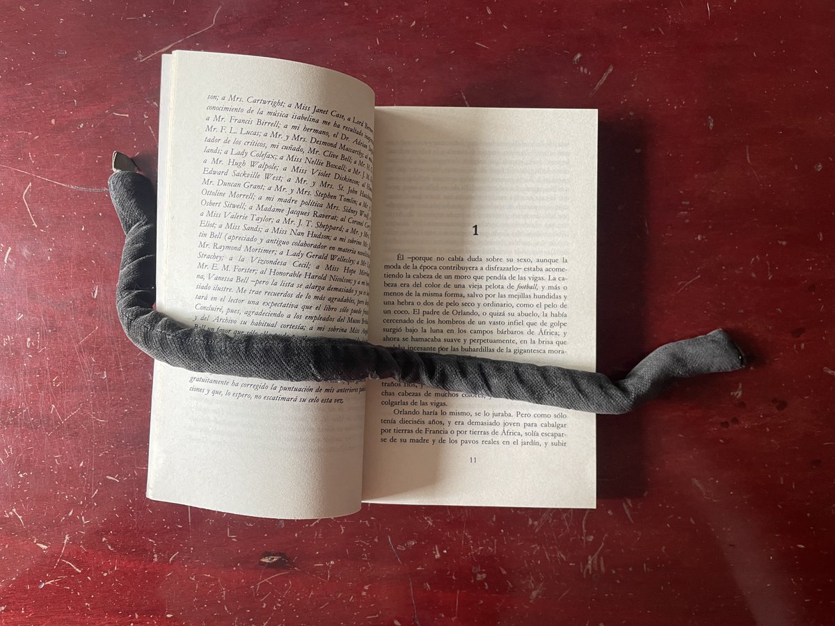 Radinitocmoi's tweet photo. 1150. “Él -porque no cabía duda sobre su sexo…”
Virginia Woolf. Orlando. Jorge Luis Borges (trad.). 2a ed. Pocket 43. Barcelona: Edhasa, 1986
#Livres #Libros #Books #Bibliothèque #Biblioteca #Library #virginiawoolf #woolf #orlando #borgestraductor @edhasaeditorial https://t.co/WHa05N8a1i