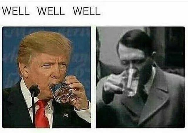 MostlyPeaceful's tweet photo. Babe the new Hitler comparison meme just dropped https://t.co/sbkun1yTk7