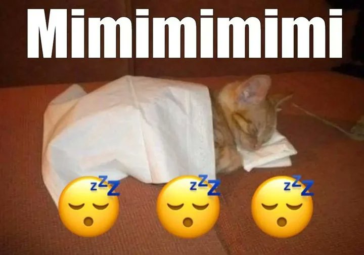 catsdotjpg's tweet photo. https://t.co/mLsUEGA5qW