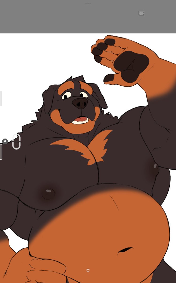 TamarindoHusky's tweet photo. You remember him? https://t.co/i1X74BaOSS