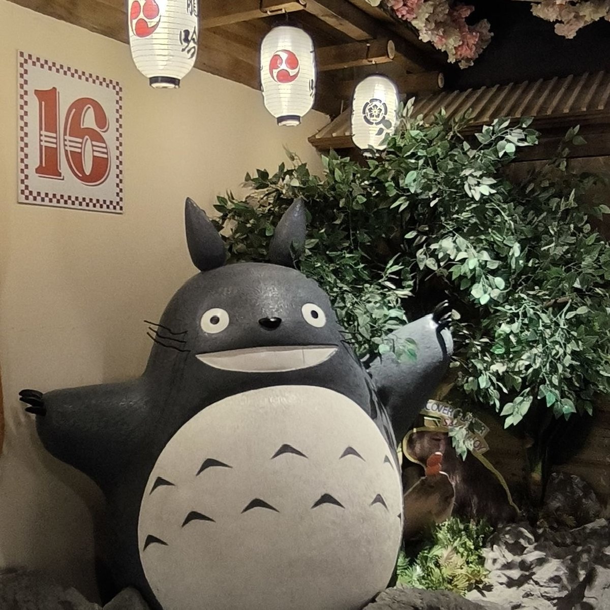 caidasinlimite's tweet photo. Japan recap. https://t.co/BmymibqEm5