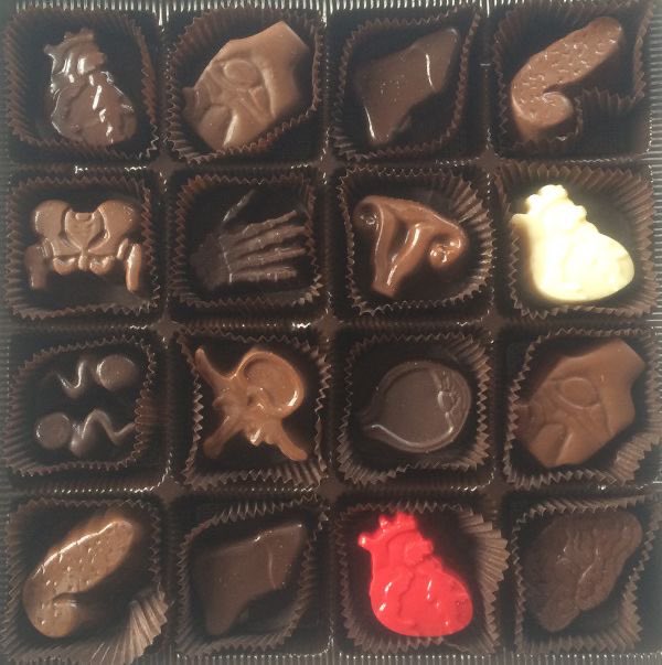 _PervHimefujo's tweet photo. ᣟ݂ ׁׅ֒ ᩧ ᨳଓ ՟· I would die if someone got me organ shaped chocolates for a special event. I mean I don’t celebrate Valentines but if someone did this for me I’d marry them or something. https://t.co/S7hEkx6axN