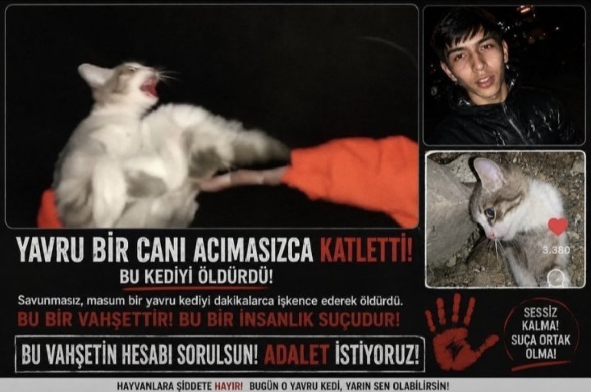gbhayalll's tweet photo. Gün 40
Biz unutmayacağız. Siz bulana kadar susmayacağız.
O katiller bulunacak!
#minikiçinadalet 
#miniğiunutma https://t.co/yupVFSyUHu