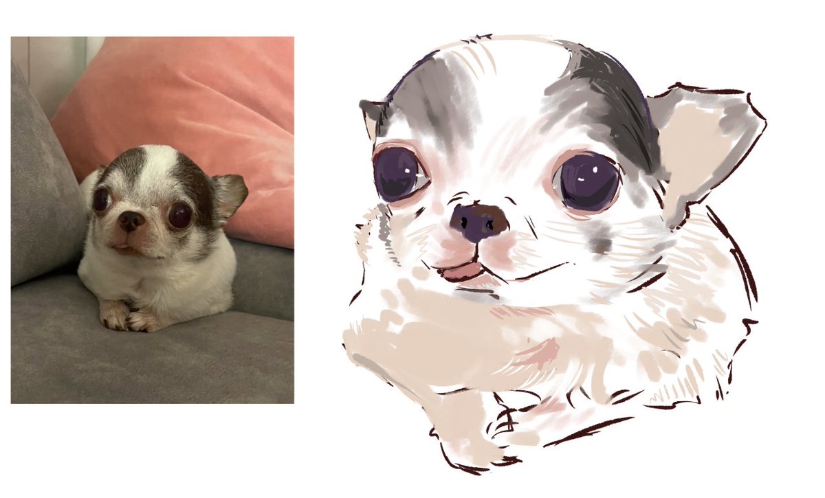BBANGHO_0's tweet photo. chiwawa https://t.co/c6YySPaIG7