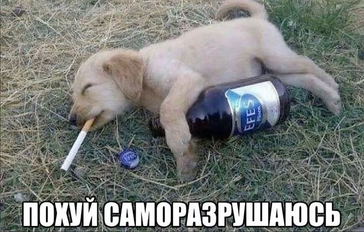 Angeleswql's tweet photo. Как тут найти друзей, я оч хочу вайбово отвечать на другие тви https://t.co/Tv5QOklY7Q