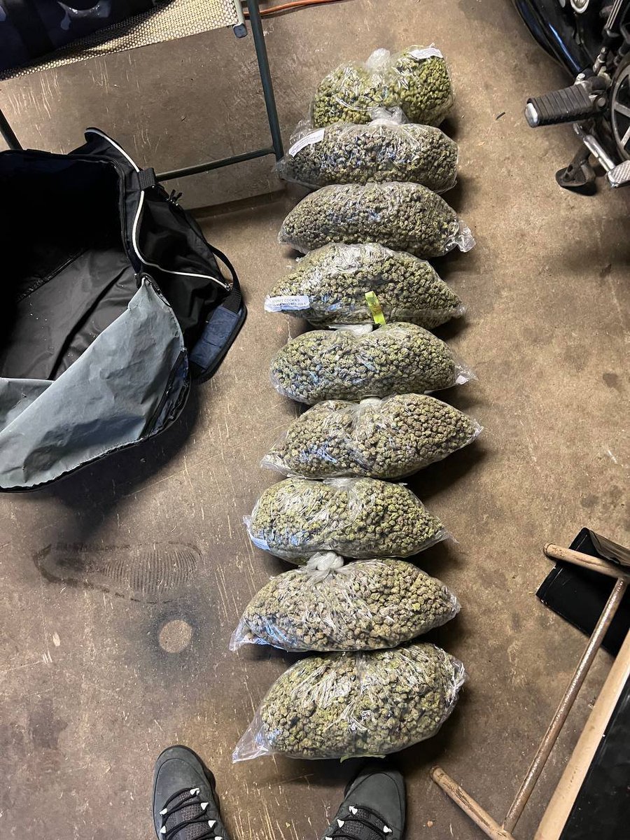 STONERS2027's tweet photo. Each bag going for $600 a bag lmk dm me for my menu 

📱https://t.co/ZG6HoEGMLB  

📱 https://t.co/BUz6U7bAYD

#cannabis #strain #flower #budshots #weedculture #Texas #Tx #cbd #thc #worldwide https://t.co/wkkWqo49vb