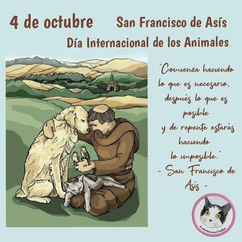NuriTrejo's tweet photo. 4Oct. Día Internacional de los Animales. Promovamos el bienestar, concienticemos sus cuidados y la existencia de las diferentes especies.
#Protégelos #Respétalos 🌎🌍 #SinMaltratoAnimal
¡Lulú Somos Todos! https://t.co/RBPqqUOHZk