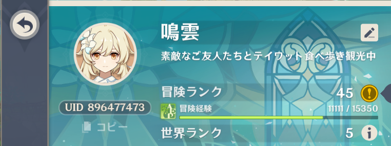 Rukamaruuu's tweet photo. 待ってコレ凄くない？！
冒険経験１１１１１なんだけど？！ｗ https://t.co/twj3r2Lull