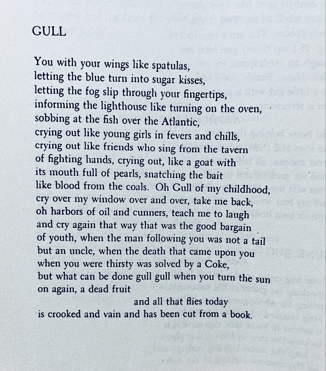 loveinignorance's tweet photo. and all that flies today 
is crooked and vain and has been cut from a book.

—Anne Sexton https://t.co/XniAMqi3Nu