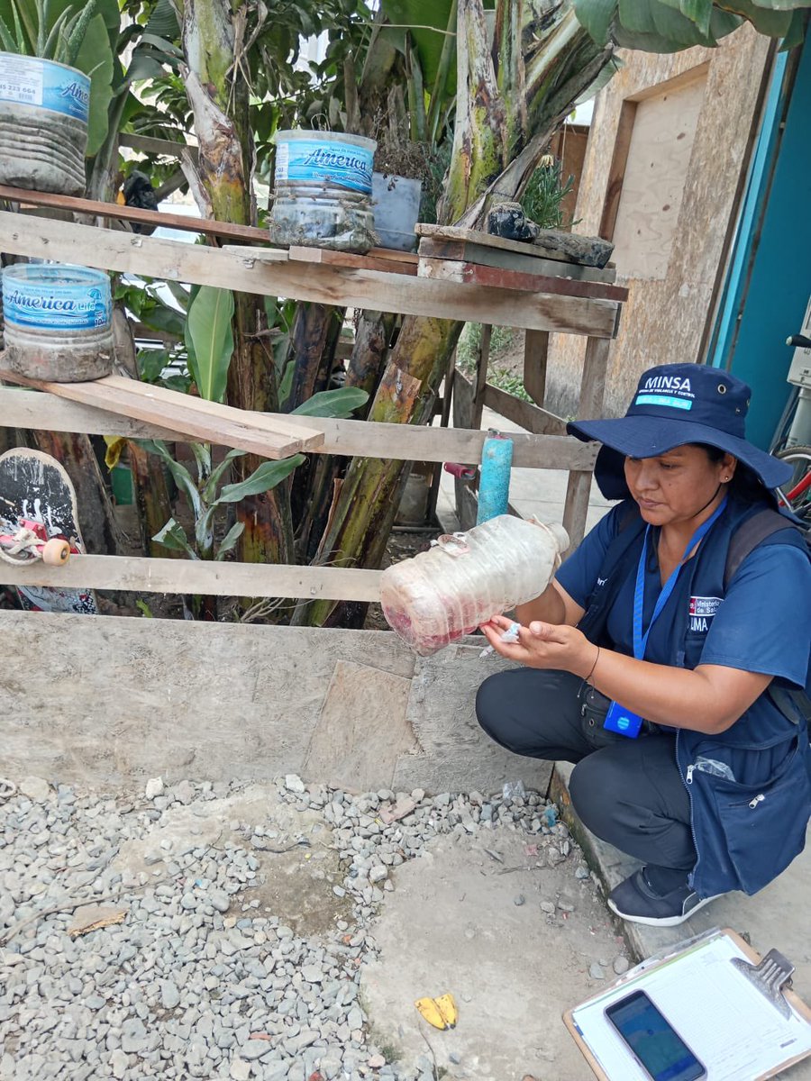 Minsa_Peru's tweet photo. 🦟 El dengue se previene desde casa.
El #Minsa continúa recorriendo viviendas de San Juan de Miraflores, Pucusana y Pachacámac para identificar y eliminar posibles criaderos de zancudos transmisores del dengue, además de orientar a las familias sobre cómo prevenir esta enfermedad.
✅ Importante: permite el ingreso de los inspectores de salud. ¡Súmate y protege a tu familia!