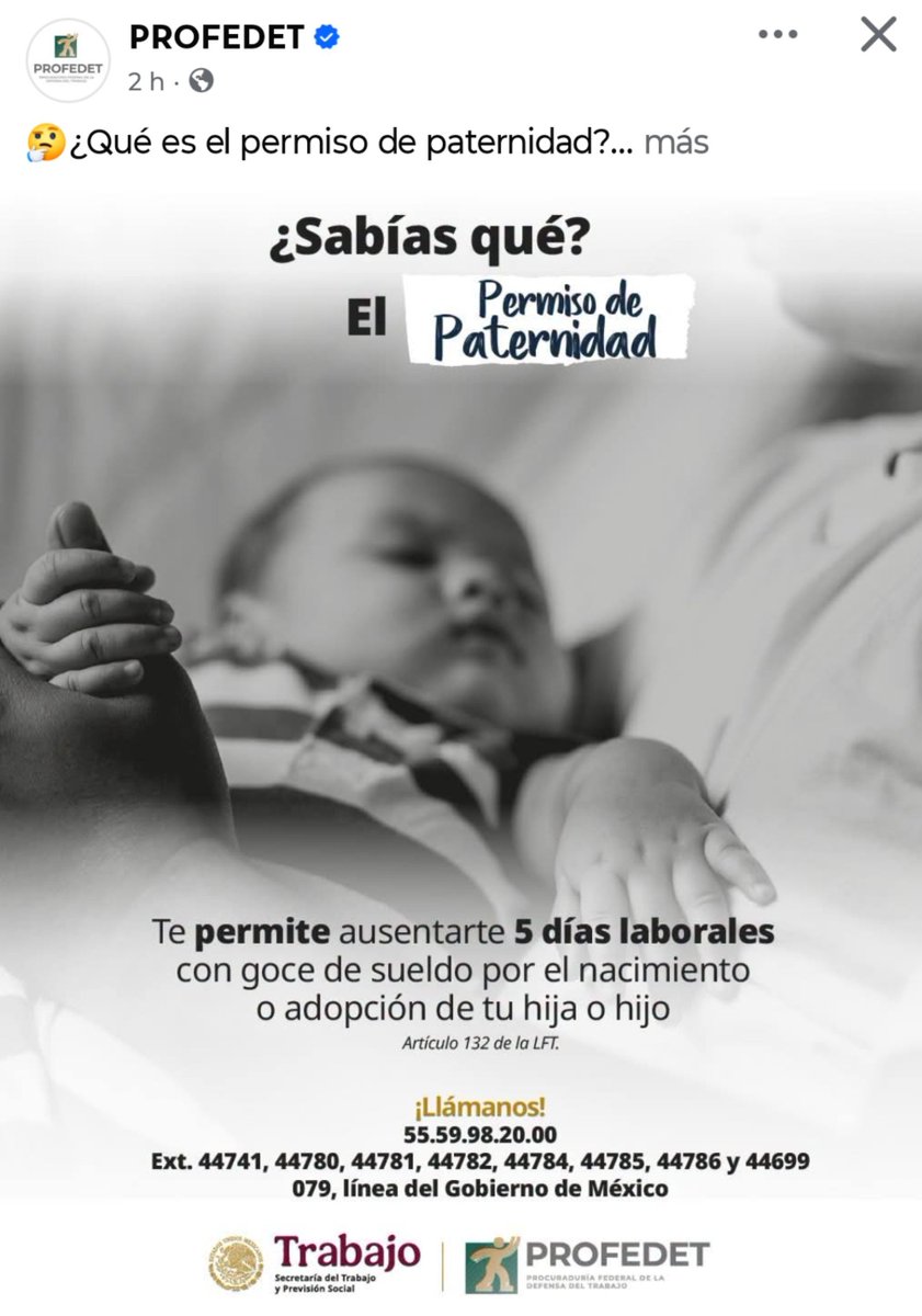 VeroTeigeiro's tweet photo. ¿Sabías que el permiso de paternidad es una burla? Imagina creer que 5 días son suficientes para un padre con un recién nacido y una pareja recuperándose de un parto. Siempre veo que ahora sí van a legislar aumentarlo, pero simplemente no pasa. Hablamos mucho de la carga desproporcionada en los cuidados de las mujeres, pero ni siquiera pueden legislar para que el padre esté libre de involucrarse en dichos cuidados cuando la cría nace.