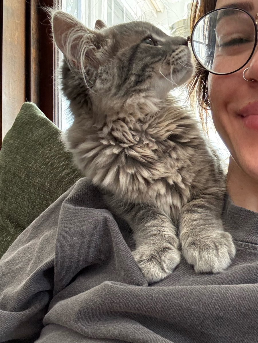 oigevalt's tweet photo. can u believe this little pipsqueak https://t.co/8q2HMr6Yks