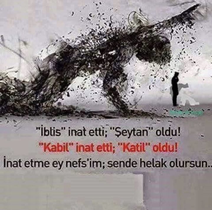 VeRdakeMatlubi's tweet photo. 🫧 https://t.co/xaEXA0Cut4