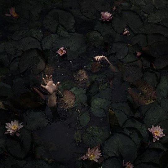 aestheticpost's tweet photo. https://t.co/kkB47tkgJk