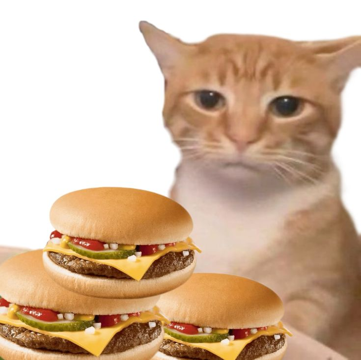 catblep tweet picture
