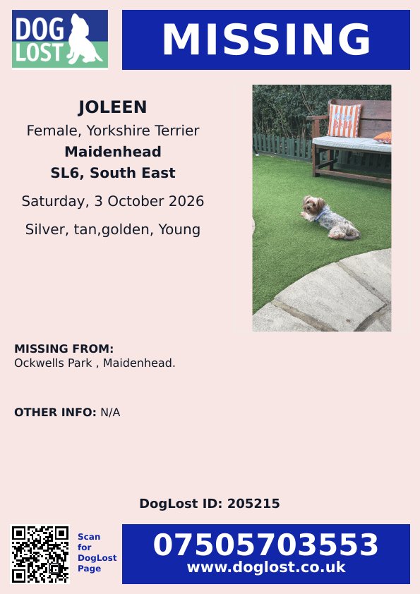 MissingPetsGB's tweet photo. 🐕‍🦺 JOLEEN #MISSING #Yorkshireterrier 

From Ockwells Park #Maidenhead #SL6 since 3 Oct 2026 at 1:06am

JOLEEN is Long haired, silver and tan. Very elegant,  soft coat. Very beautiful and gentle.
Please look out for her, she is a young dog, do not chase if seen.

#stolendoghour https://t.co/MvD1ghrqgx