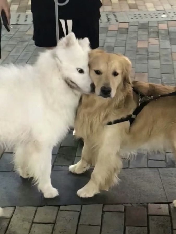 LJLuthors99's tweet photo. Cada pareja tiene su propia versión no? https://t.co/Lp838EmbXP