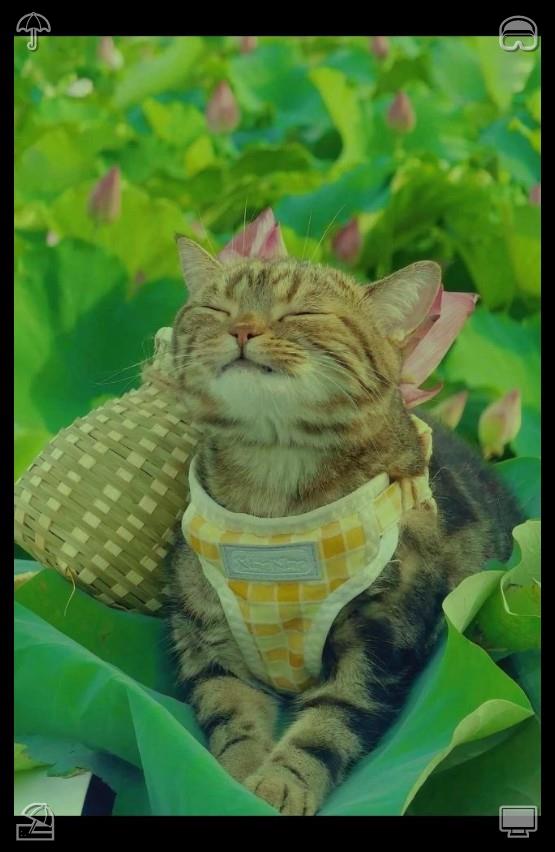 pockle420's tweet photo. That evening, Lila had a barbecue with her friends, wearing a striped romper, paired with flip-flops and a straw hat. She added a pair of sunglasses, looking cool and casual.🐦Braised rice Ready, satisfying https://t.co/wZjxvHibZS
