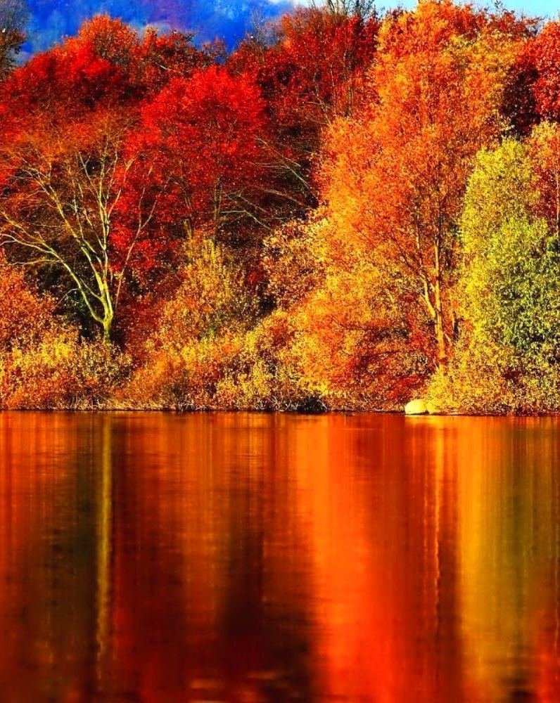 LoveSongs4Peace's tweet photo. Awesome fall colors are reflecting to a lake in New England, US 
🍂🍁🍂 https://t.co/enZENBh0g8