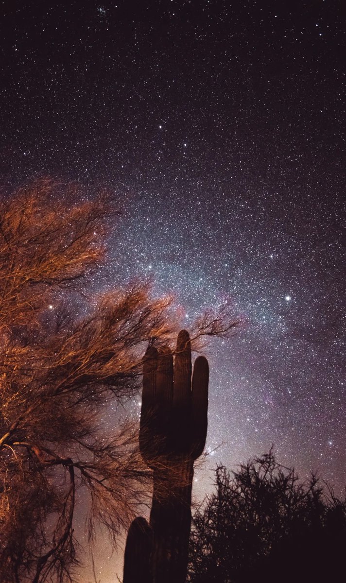 Angelpal330's tweet photo. A starry sky like this is worth seeing just once - it's so beautiful https://t.co/K1yqC7MHwb