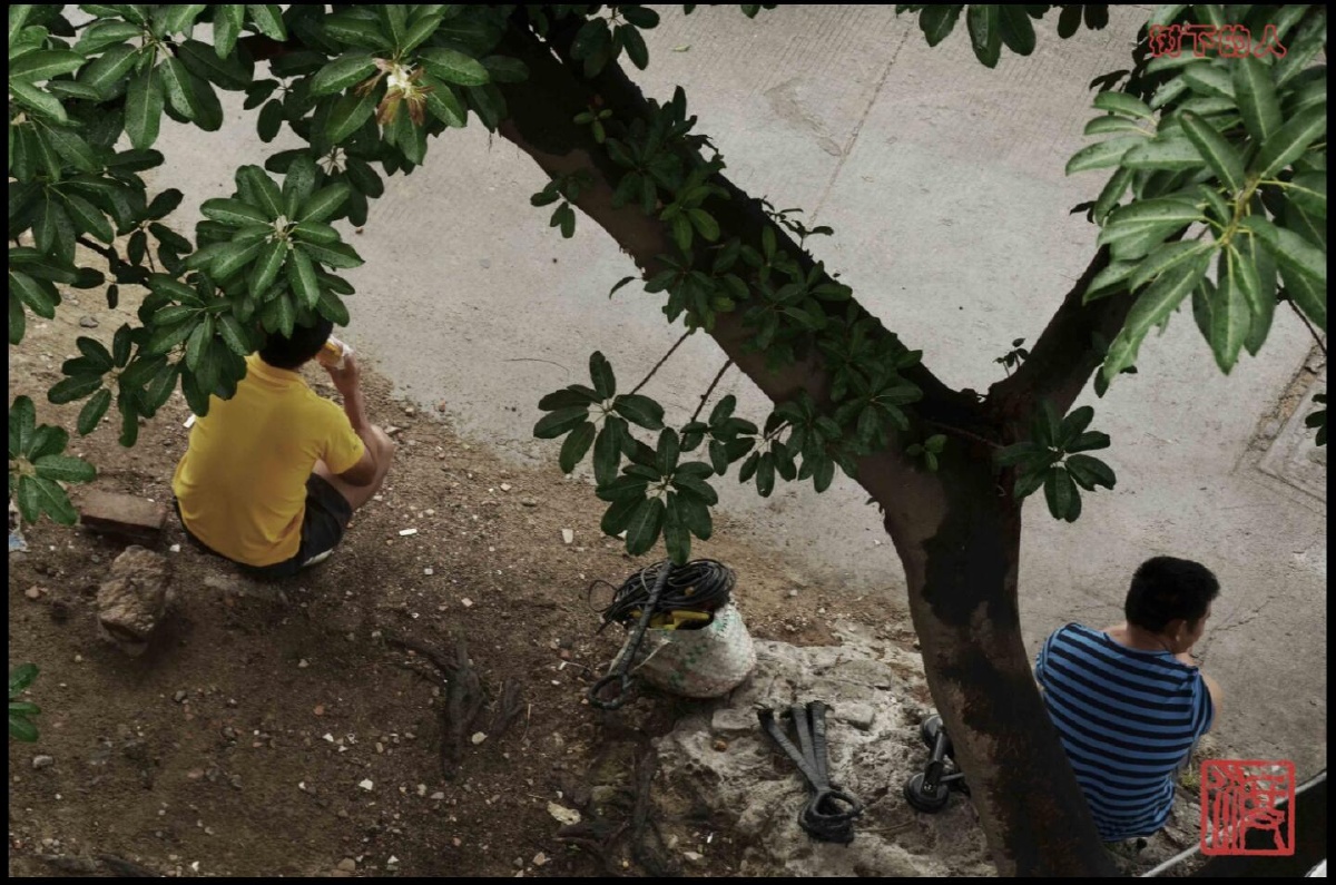 LaurenSweevhwm's tweet photo. El viajero se detuvo ante el árbol, con mirada de avaricia por la tierra húmeda. https://t.co/0LVCGepQ7x
