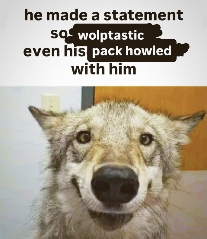 SK8RWOLFE's tweet photo. @JikantoTomoni @Black_Raven100 https://t.co/TzOcRiwaVj