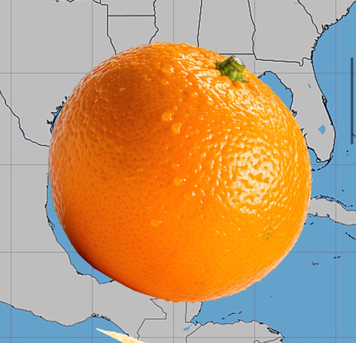 PappenheimWx's tweet photo. We have a 🍊 in the Gulf 🌀 https://t.co/uez6MU923F