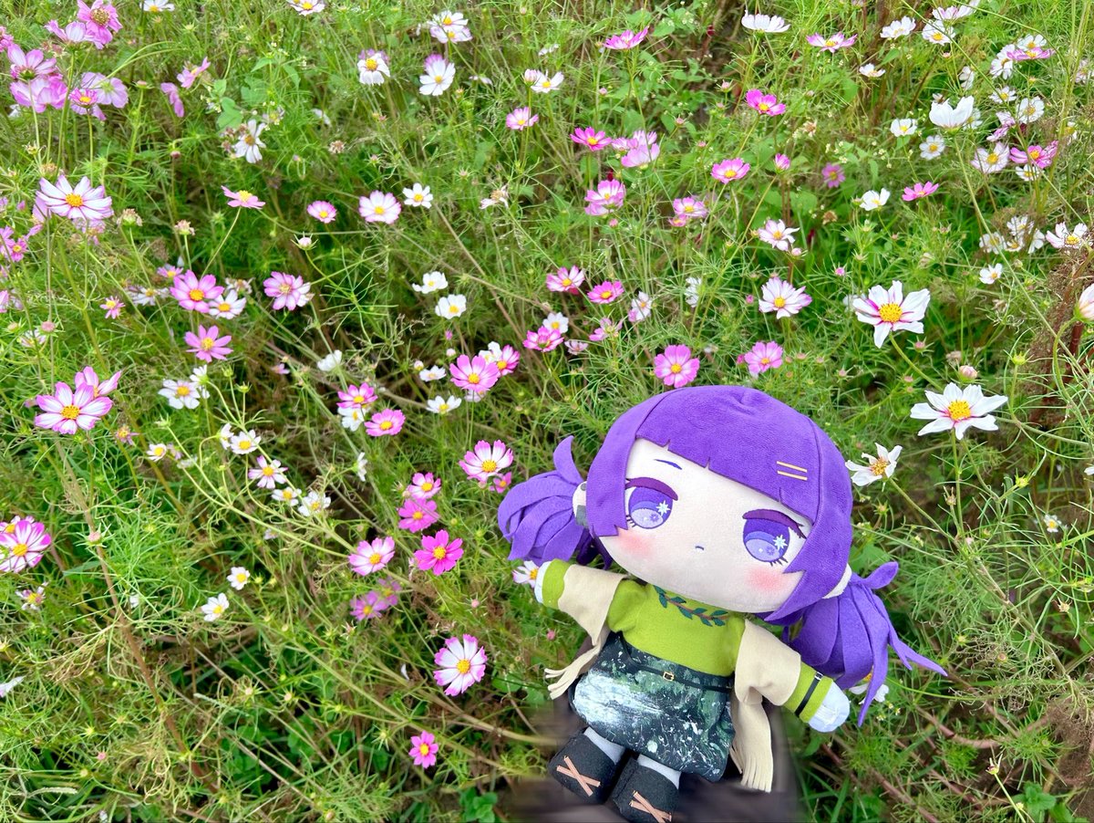 purple_bonX2's tweet photo. 真・TRAVELER まみみさん🌿 https://t.co/IeIA1ezBzR