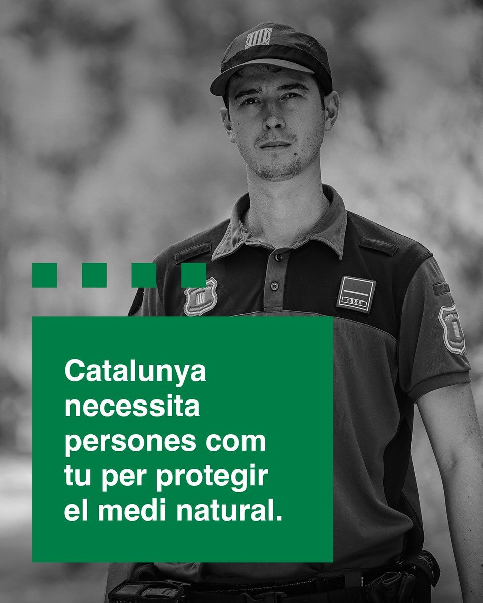 interiorcat's tweet photo. Ser agent rural és molt més que una feina: és posar la teva vocació i compromís al servei de la protecció del medi natural i el territori.

Nova convocatòria amb 100 places.

Sol·licituds: del 19 al 30 d’octubre de 2026.

https://t.co/T10XGvyvw9

#MoltMésQueUnaFeina https://t.co/g8q5zveSMm
