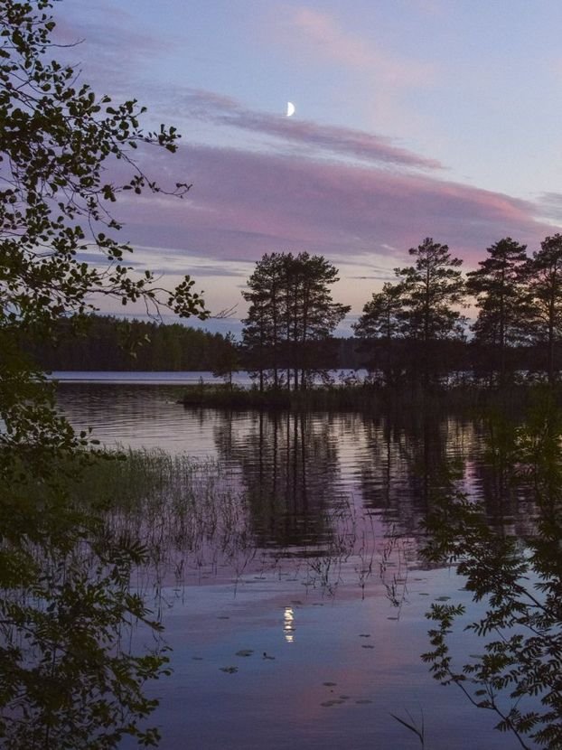 elemmiressoul's tweet photo. purple hour. https://t.co/2hqkKXQ0ss