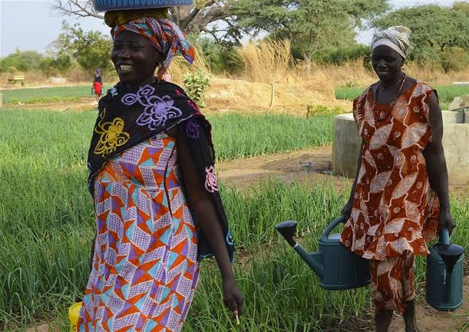 witness_radio's tweet photo. Rural women farmers help feed communities, conserve biodiversity, protect water sources and restore degraded land. Yet many still lack secure land rights, finance and a voice in agricultural decisions. 
Read more:https://t.co/1QNpMikqCh https://t.co/WhqcnEqJns