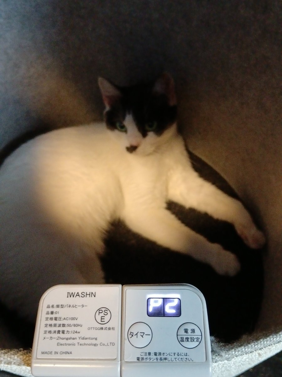 onoderafarm's tweet photo. 田舎移住して
気づいたことの一つとして、
「農家の猫飼い率が高すぎ！」 https://t.co/4Ai5X3vcrW