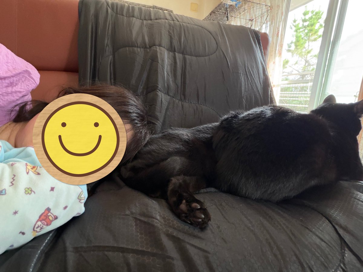 10kasumi27's tweet photo. 黒猫姉妹の隣で寝てた。

雨音で目覚めた昼下がり。

平日5時起きは、体にこたえます💦
眠い💤💤💤
だるい〜💦
#雨音
#昼寝
#黒猫姉妹
#猫がいる暮らし https://t.co/YRFnTAqQ36