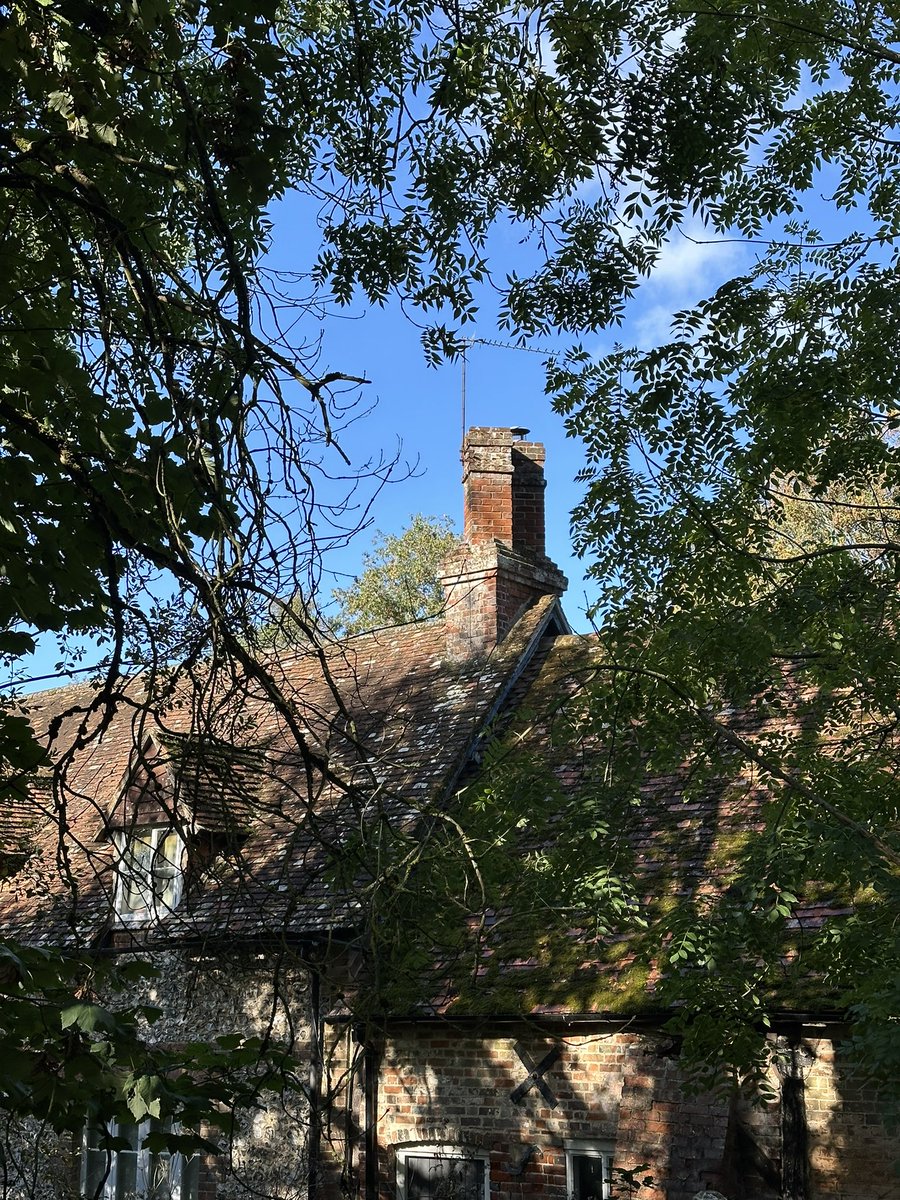 HelenIbbott's tweet photo. ..
🍂 ~ “More autumn wanderings.” ~ 🥾
📱 My own.
🤎 #AutumnIsHere https://t.co/iUGiiQOpPC