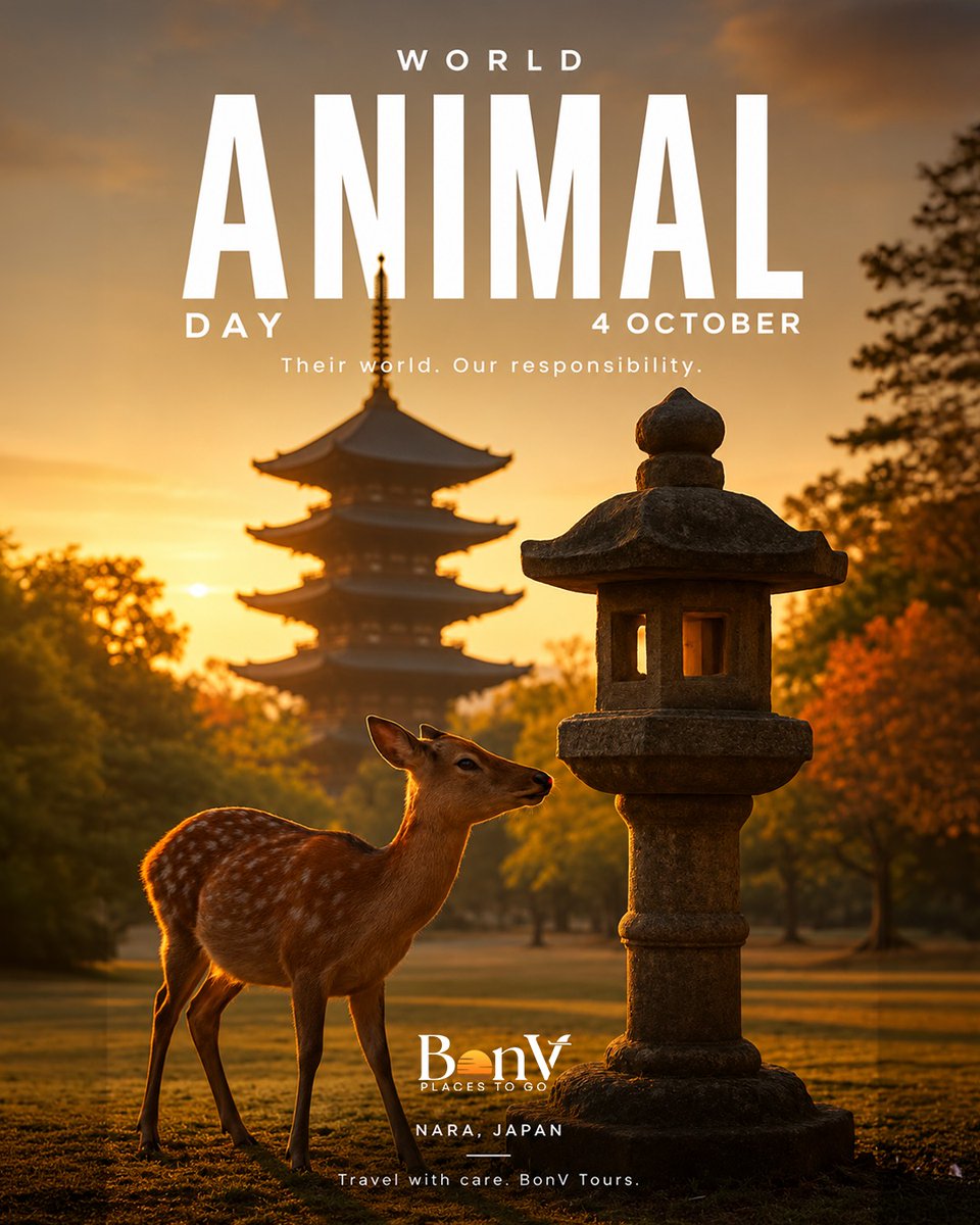 olsenjasmizv's tweet photo. Their world. Our responsibility. This World Animal Day, let’s honor every creature that enriches our planet. Travel responsibly by respecting wildlife and protecting the wild spaces that make our world magical. https://t.co/SGCsfpabyG