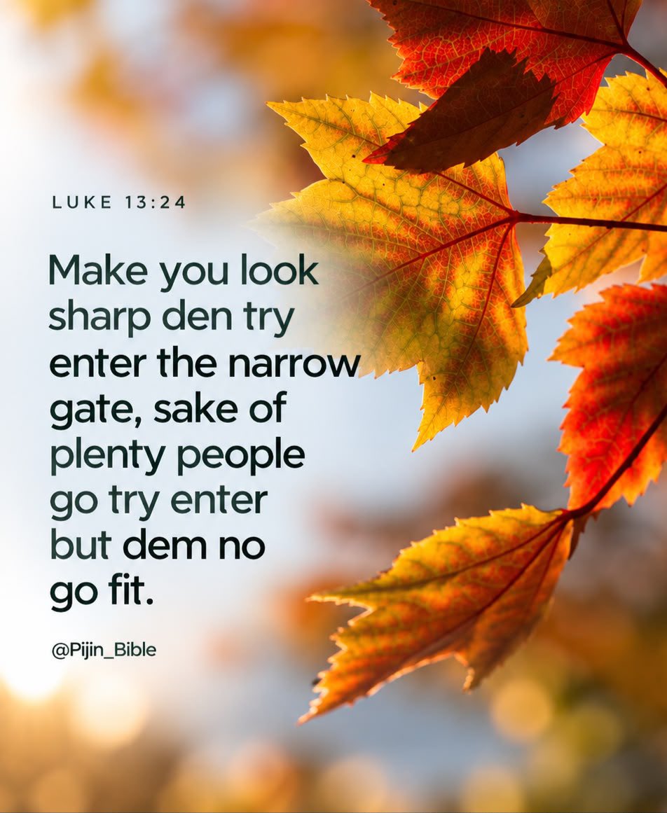 PiJin_Bible's tweet photo. Luke 13:24
#PijinBible https://t.co/eDgjkVCuRW