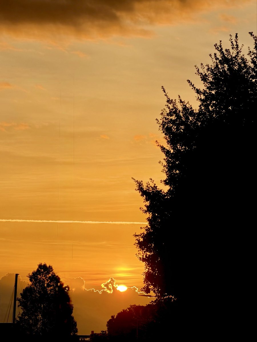 BrigitteB55's tweet photo. Bon début de semaine à tous 🫶🏻☀️
#Sunrise 🌅 #Antibes 💛 https://t.co/ej2e2quyjP