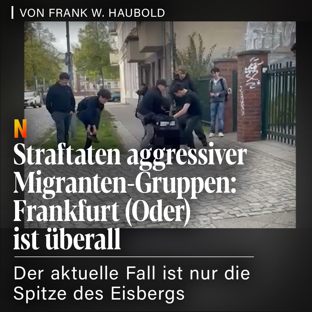 niusde_'s tweet photo. „Ein brutales Prügelvideo aus Frankfurt (Oder) geht viral – und zeigt, was hierzulande längst Alltag geworden ist. Jeden Tag werden Dutzende Deutsche Opfer von Gewalt und Sexualstraftaten durch Zuwanderer.“
https://t.co/SqxePNX0vm https://t.co/LK5ftewx9W