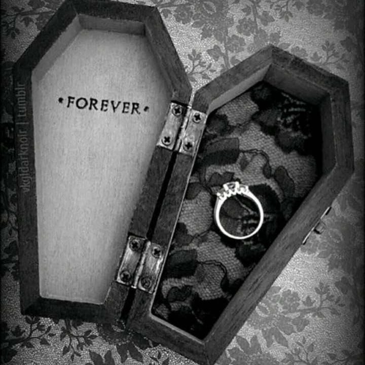 monochromicbnny's tweet photo. ⠀⠀   ꒰ ⠀  ❤︎⁠    my    𝒾ntr𝑜⠀⠀ ֪۫  𓏼⠀ 🩹

⠀⠀   ⸸  ⠀ 𝒶ngel ⠀  : ⠀  fourtee𝓃⠀

⠀ ⠀⠀໒꒰ྀི  𓏰ּׅ𓏰⠀      giselle    ,    𝓍inyu 🤍

             #editwt #kpoptwt #stantwt
⠀⠀   ꒰ ⠀♡⠀ n⠀ ℛ𝒯⠀ to⠀ be⠀ moots https://t.co/9KIMmfiOuH