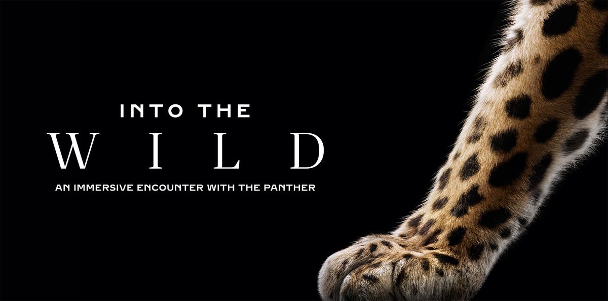 SeoullySG's tweet photo. [#CARTIER] A 𝒲𝐼𝐿𝒟 affair with LINGLING KWONG (@linglingkwong)! 🐆💎

Lingling Kwong will be joining Cartier for INTO THE WILD today, celebrating the Maison’s iconic animal-inspired creations and its enduring fascination with the natural world.

📍 Singapore 

#LinglingKwongxCartier #CartierIntoTheWild
#Cartier #IntoTheWild #LinglingKwong
#หลิงหลิงคอง #linglingkwong #鄺玲玲