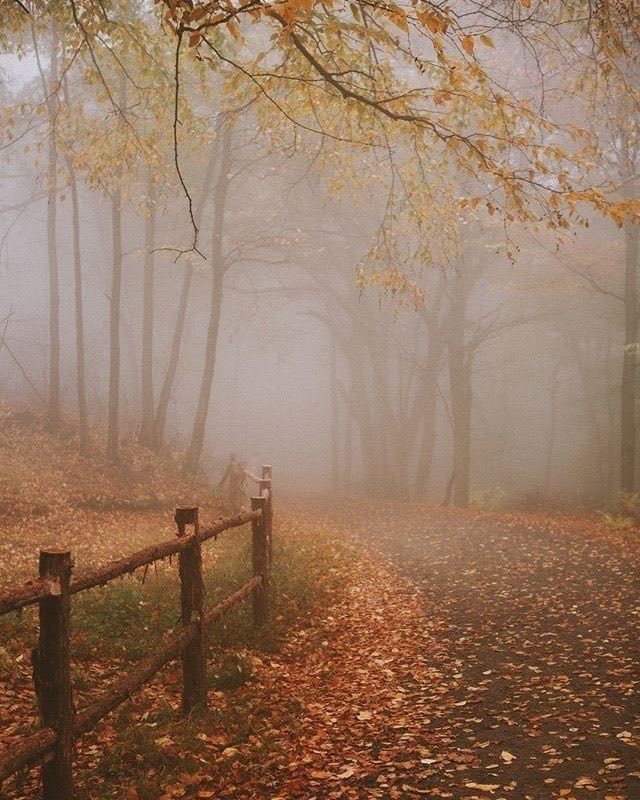 spooky_nature tweet picture