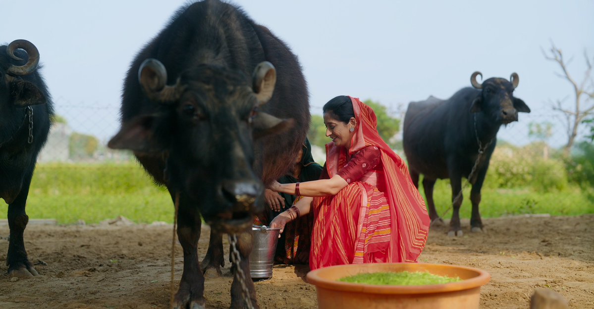 MicroSave's tweet photo. What changes when women dairy farmers access enterprise finance?

In Bihar’s Manikpur village, Ruby Devi used a MUDRA loan, with support from MSC & @brlps_jeevika, to set up a milk center & boost local women’s financial independence.

Read her story: https://t.co/peCSQSNDSm

#JEEViKA #WomenEntrepreneurs #FinancialInclusion #RuralTransformation #WomenEmpowerment #RuralDevelopment 

@GatesIndia @MoRD_GoI @WorldBankGroup @DAY_NRLM @Prerna_UPSRLM @sidbiofficial @TheOfficialSBI @pnbindia @BankofIndia_IN @UCOBankOfficial @AxisBank @RBI @bull_greta @saachibhalla @basava_ias